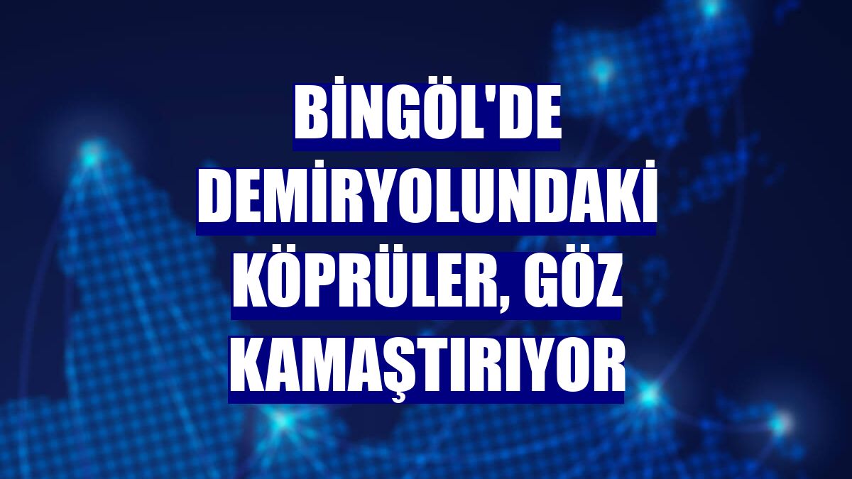 Bingöl'de demiryolundaki köprüler, göz kamaştırıyor