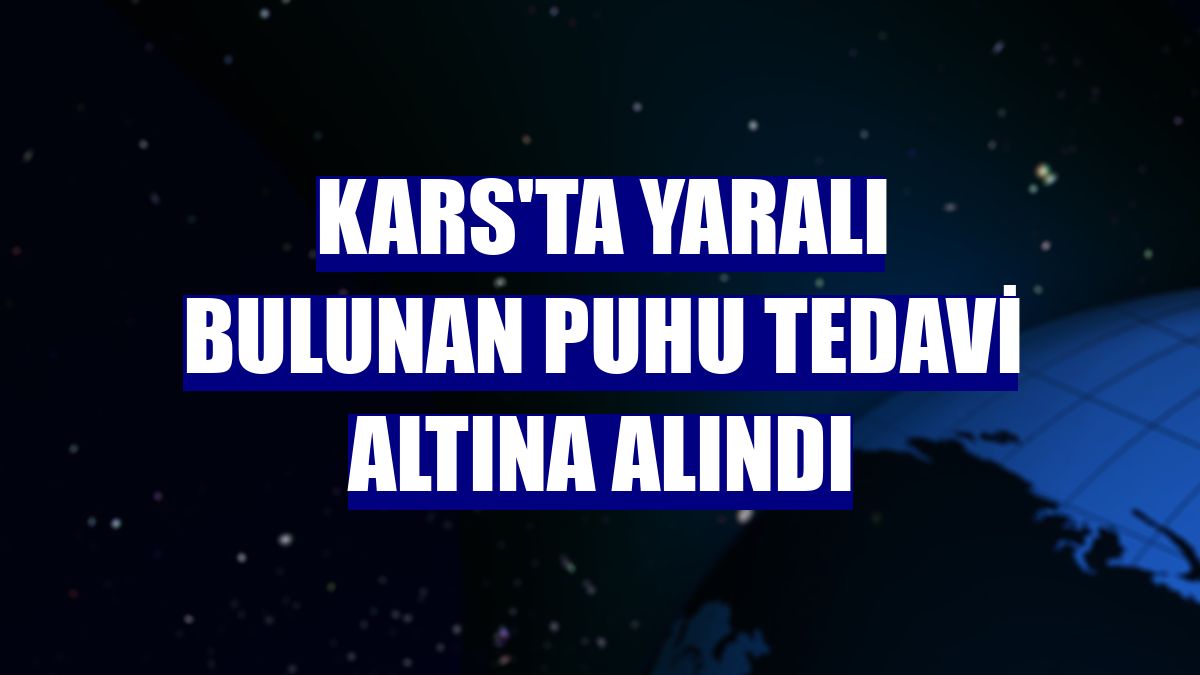 Kars'ta yaralı bulunan puhu tedavi altına alındı