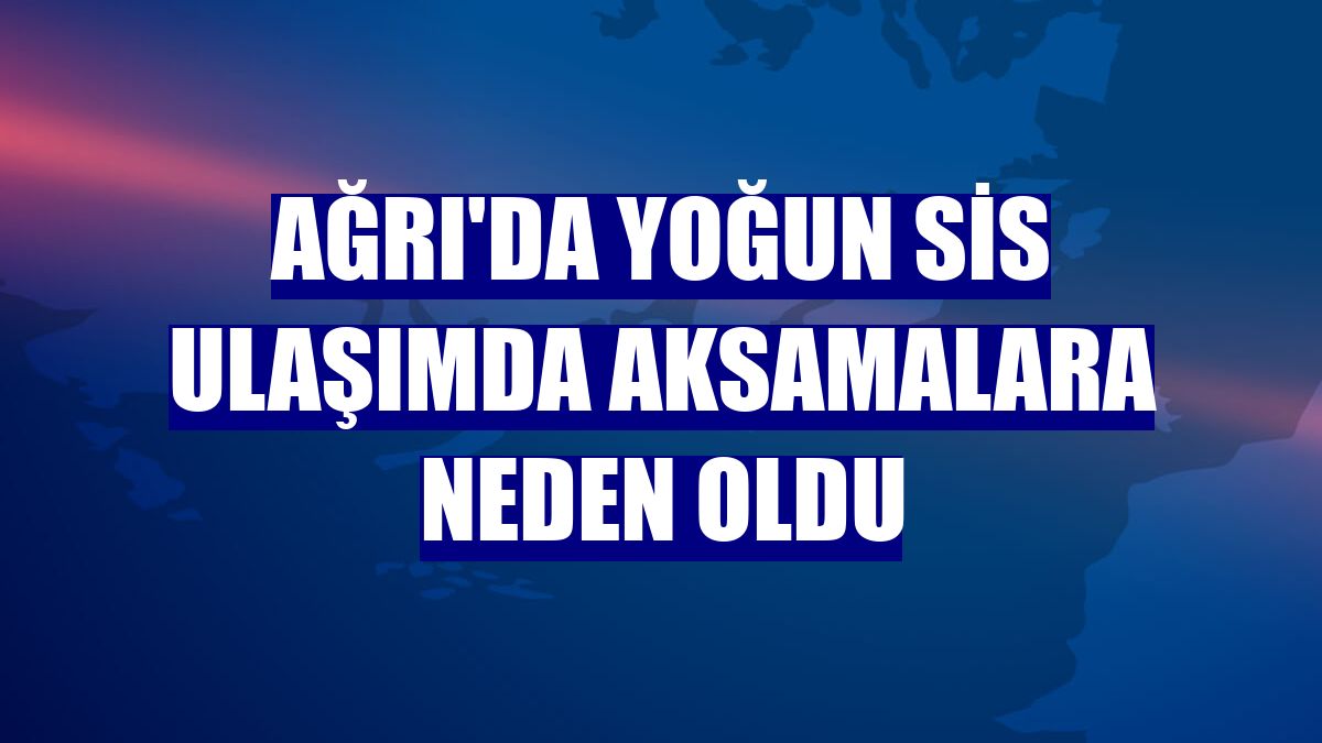 Ağrı'da yoğun sis ulaşımda aksamalara neden oldu