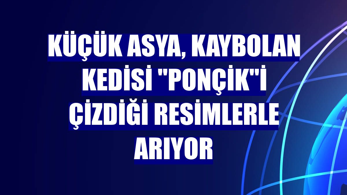Küçük Asya, kaybolan kedisi "Ponçik"i çizdiği resimlerle arıyor