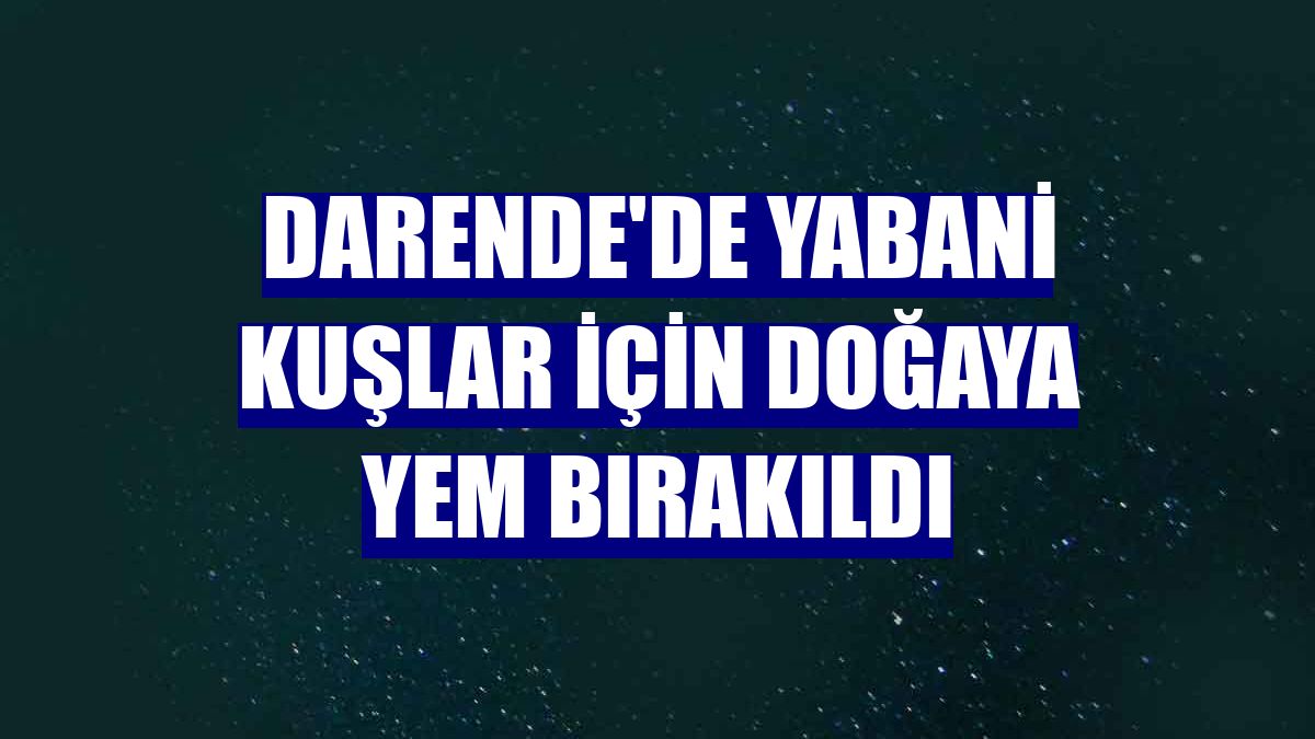 Darende'de yabani kuşlar için doğaya yem bırakıldı