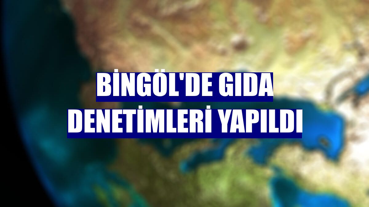 Bingöl'de gıda denetimleri yapıldı
