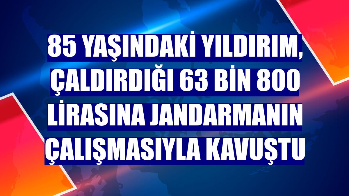 85 yaşındaki Yıldırım, çaldırdığı 63 bin 800 lirasına jandarmanın çalışmasıyla kavuştu