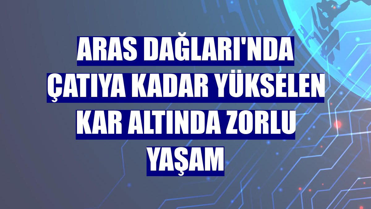 Aras Dağları'nda çatıya kadar yükselen kar altında zorlu yaşam