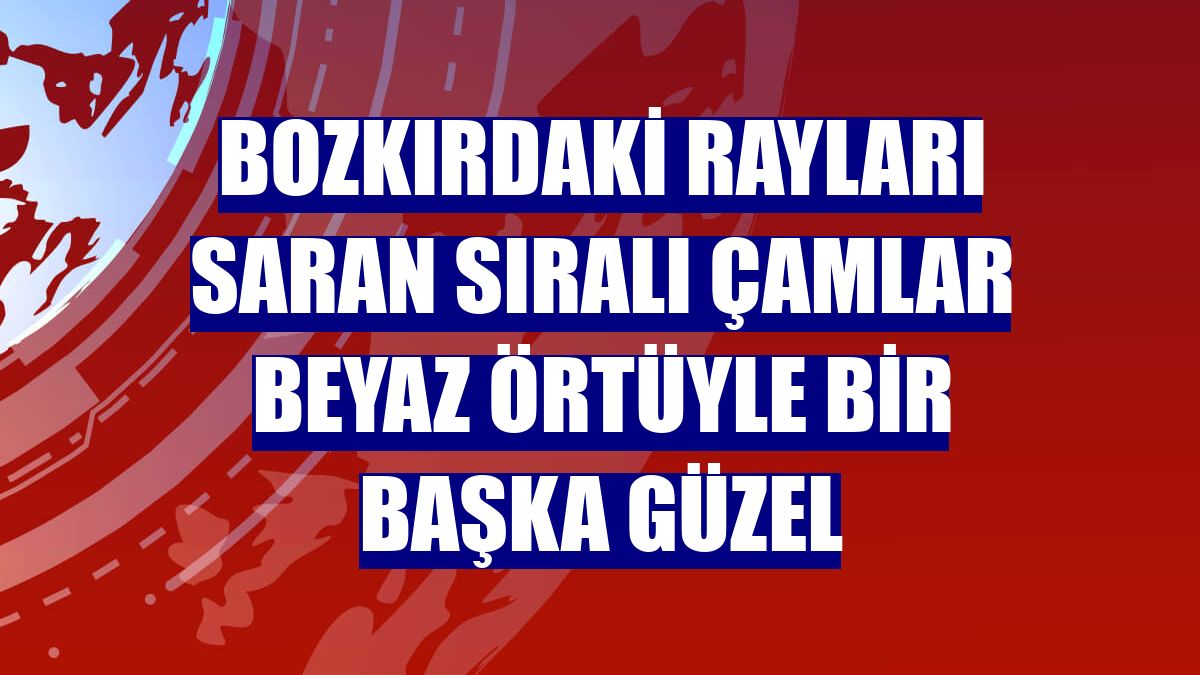 Bozkırdaki rayları saran sıralı çamlar beyaz örtüyle bir başka güzel