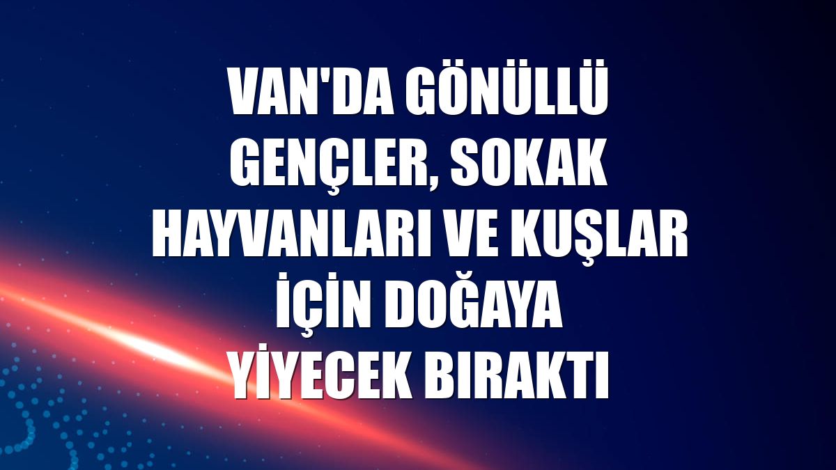 Van'da gönüllü gençler, sokak hayvanları ve kuşlar için doğaya yiyecek bıraktı