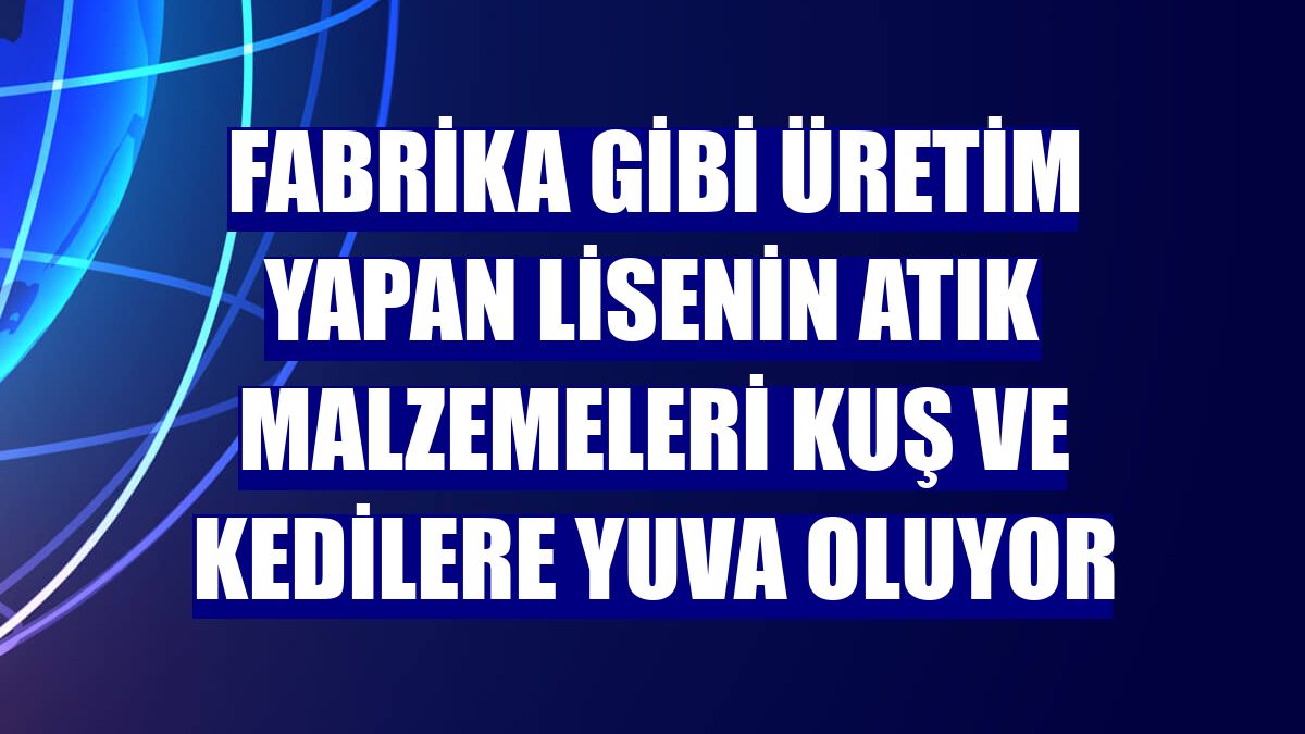 Fabrika gibi üretim yapan lisenin atık malzemeleri kuş ve kedilere yuva oluyor