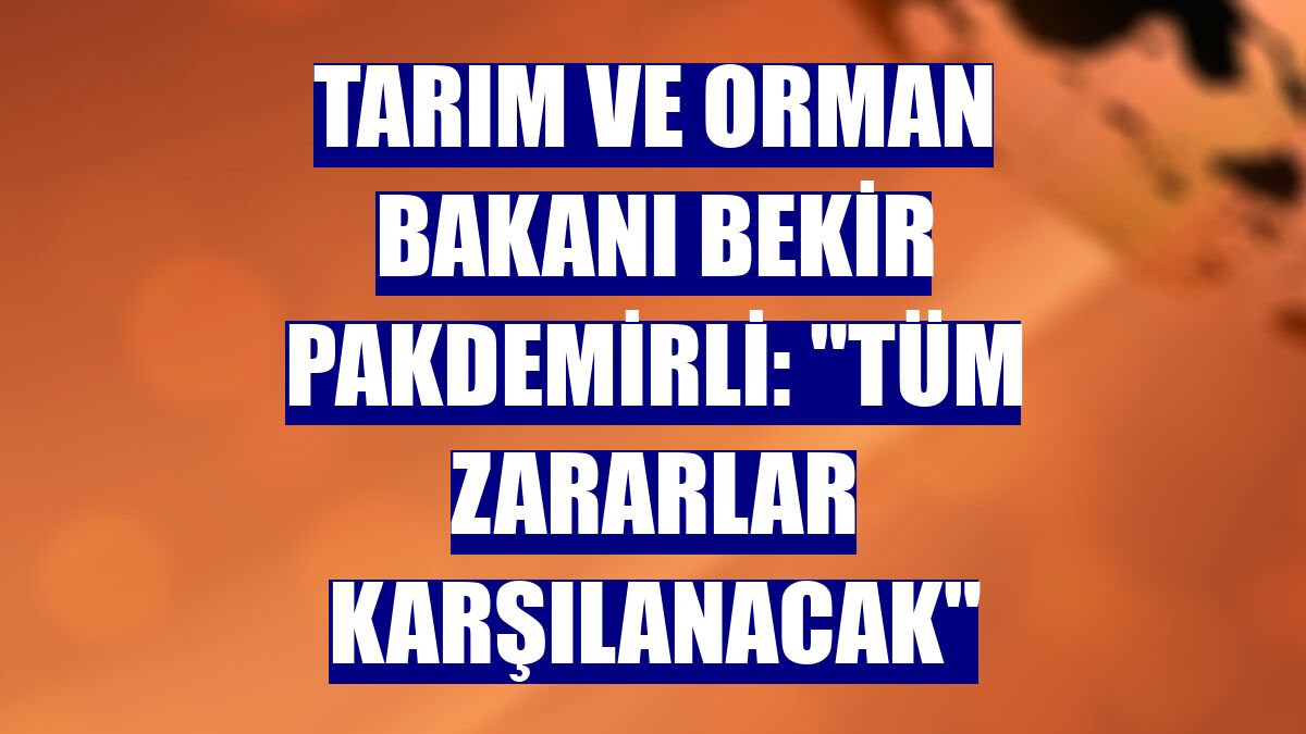 Tarım ve Orman Bakanı Bekir Pakdemirli: "Tüm zararlar karşılanacak"