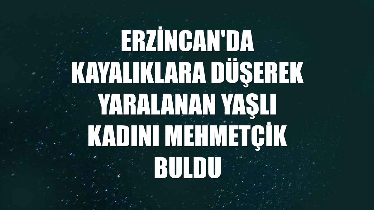 Erzincan'da kayalıklara düşerek yaralanan yaşlı kadını Mehmetçik buldu