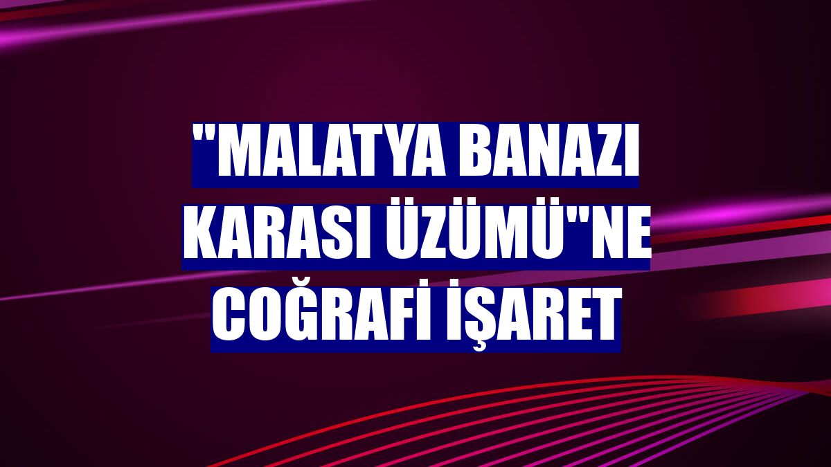 "Malatya Banazı Karası Üzümü"ne coğrafi işaret