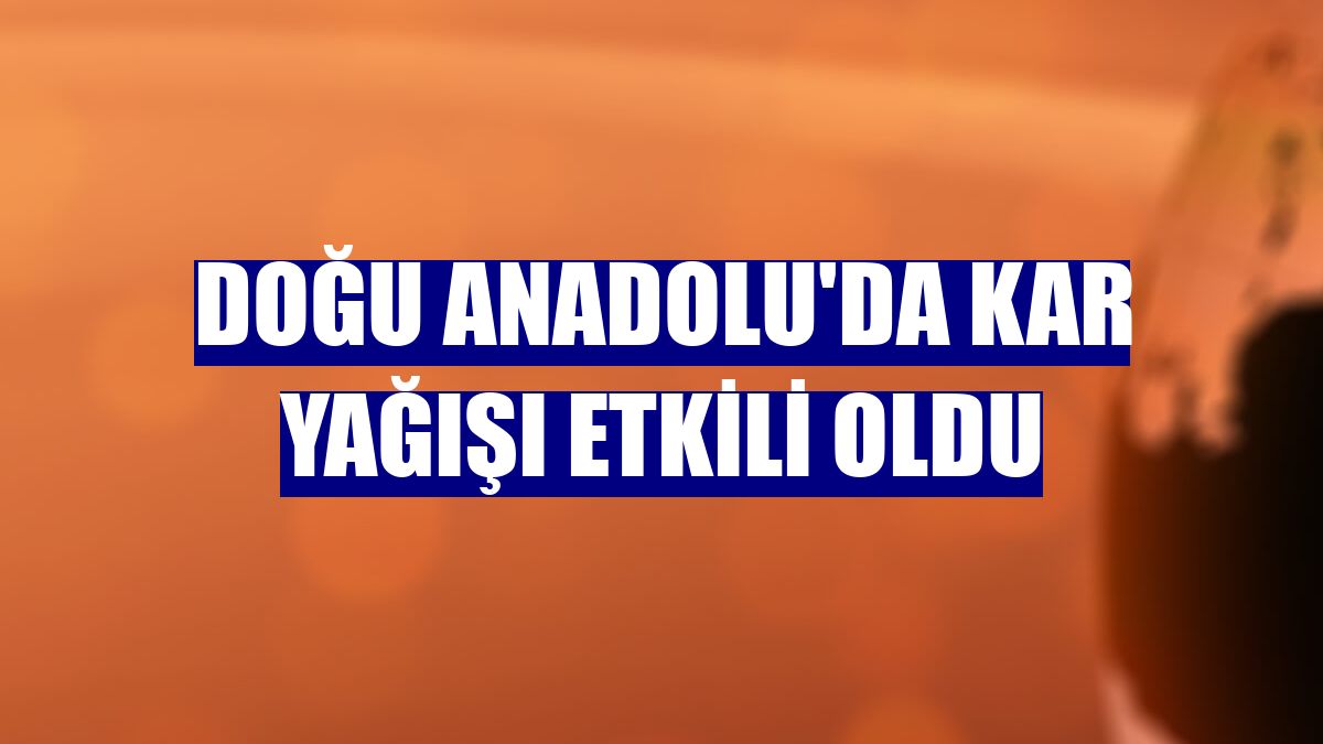 Doğu Anadolu'da kar yağışı etkili oldu