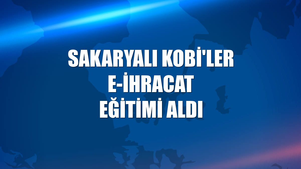 Sakaryalı KOBİ'ler e-ihracat eğitimi aldı