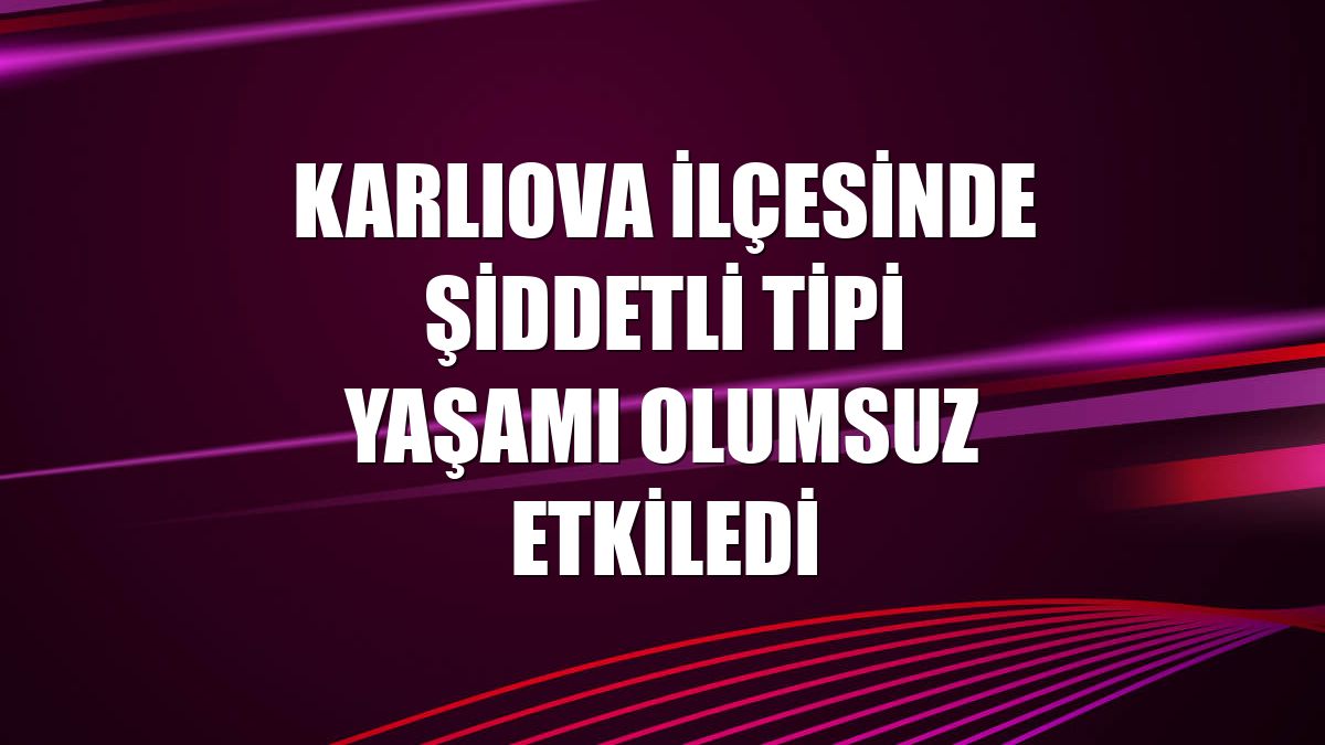 Karlıova ilçesinde şiddetli tipi yaşamı olumsuz etkiledi
