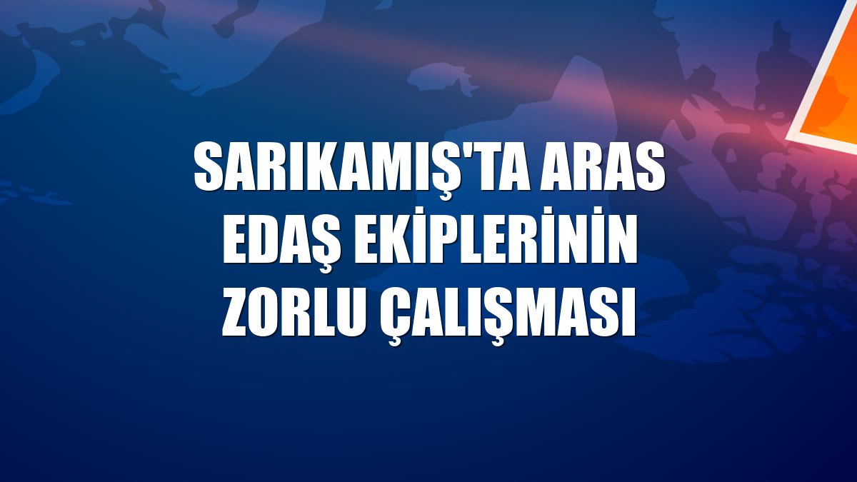 Sarıkamış'ta Aras EDAŞ ekiplerinin zorlu çalışması