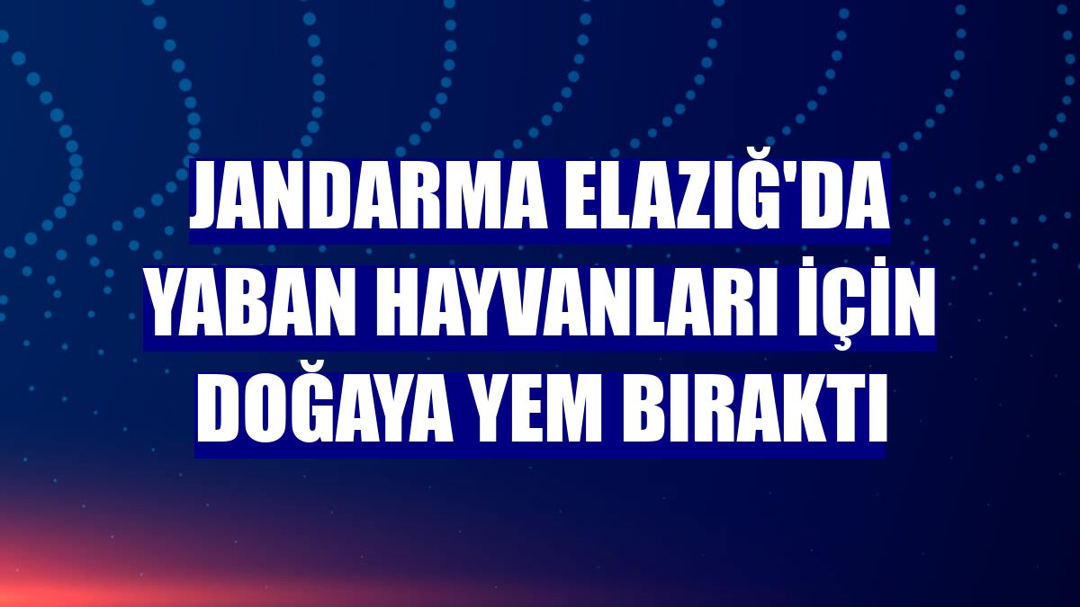 Jandarma Elazığ'da yaban hayvanları için doğaya yem bıraktı