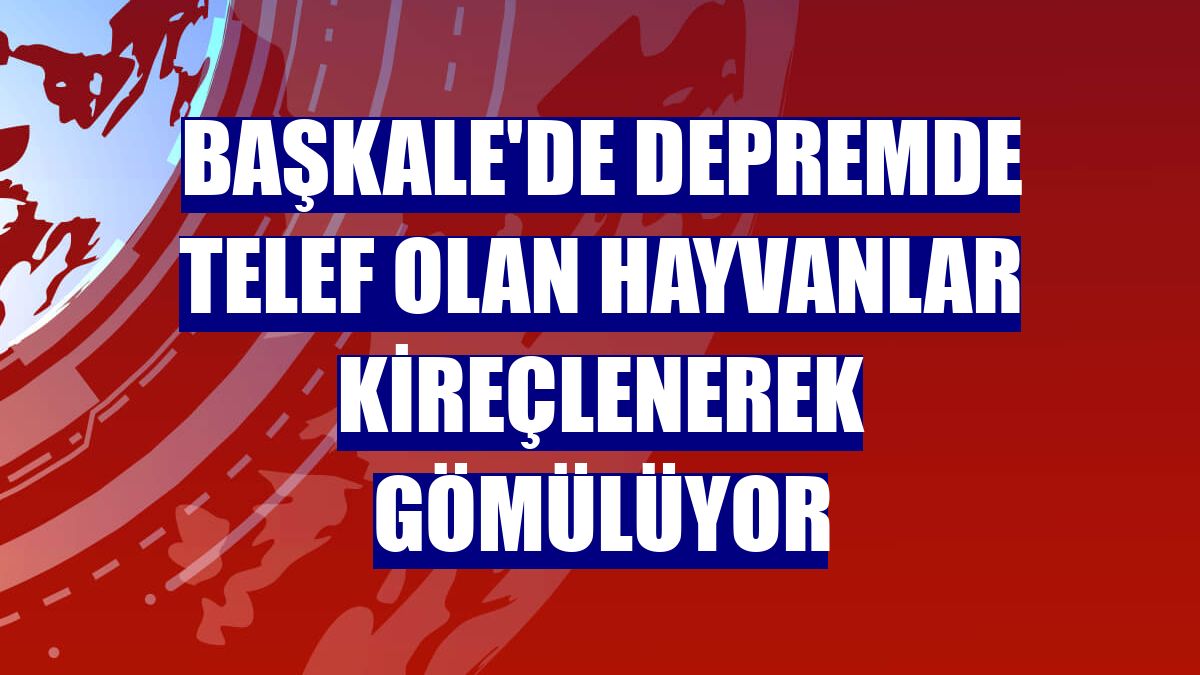Başkale'de depremde telef olan hayvanlar kireçlenerek gömülüyor