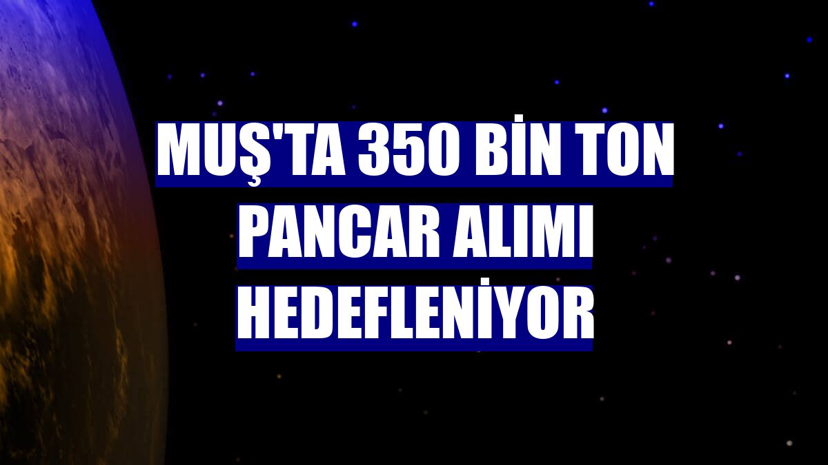 Muş'ta 350 bin ton pancar alımı hedefleniyor