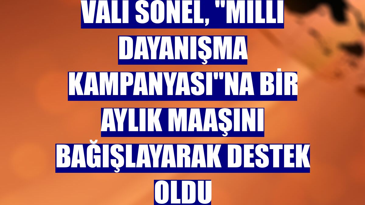 Vali Sonel, "Milli Dayanışma Kampanyası"na bir aylık maaşını bağışlayarak destek oldu