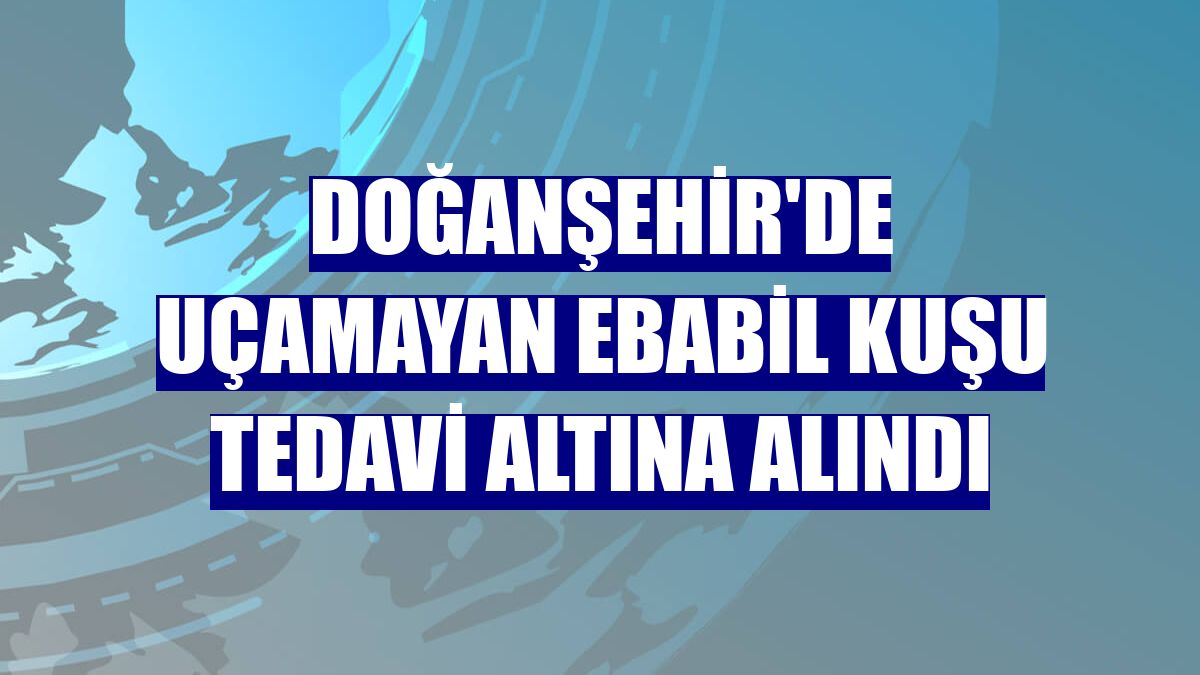 Doğanşehir'de uçamayan ebabil kuşu tedavi altına alındı