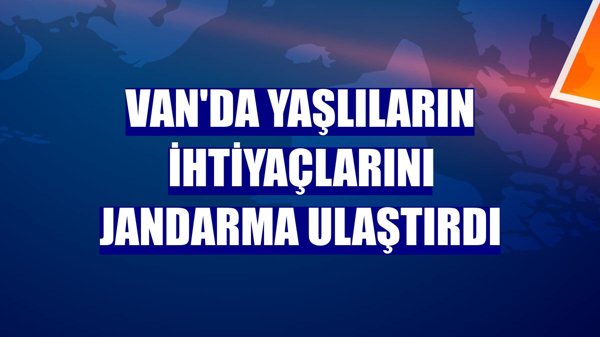 Van'da yaşlıların ihtiyaçlarını jandarma ulaştırdı