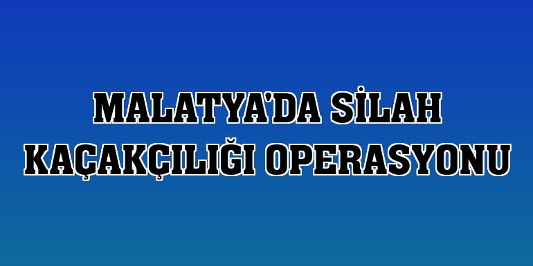 Malatya'da silah kaçakçılığı operasyonu