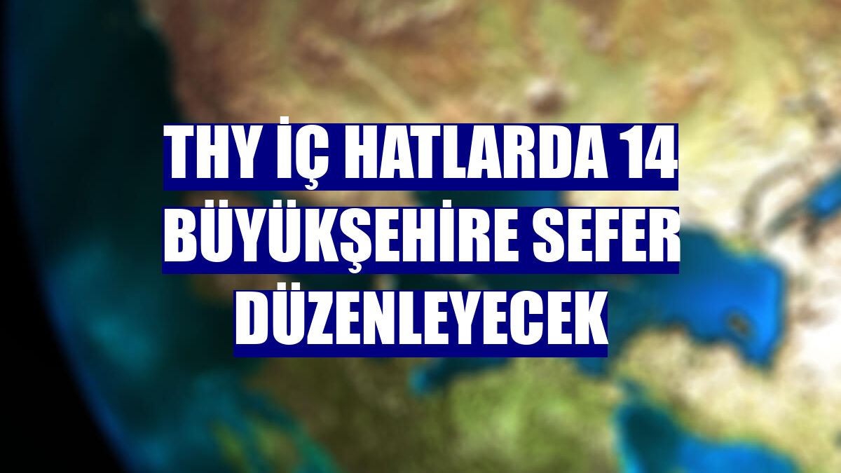 THY iç hatlarda 14 büyükşehire sefer düzenleyecek