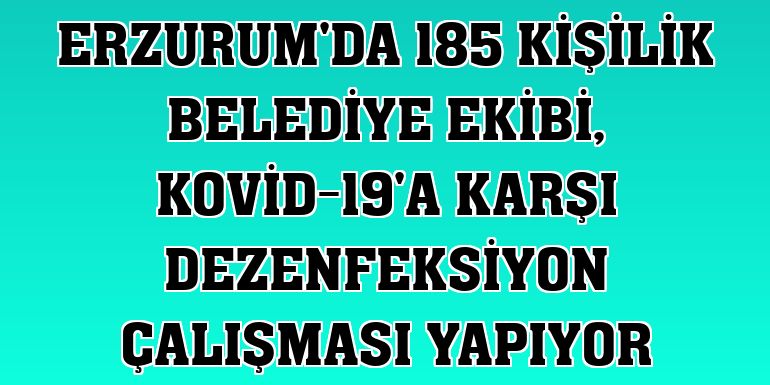 Erzurum'da 185 kişilik belediye ekibi, Kovid-19'a karşı dezenfeksiyon çalışması yapıyor