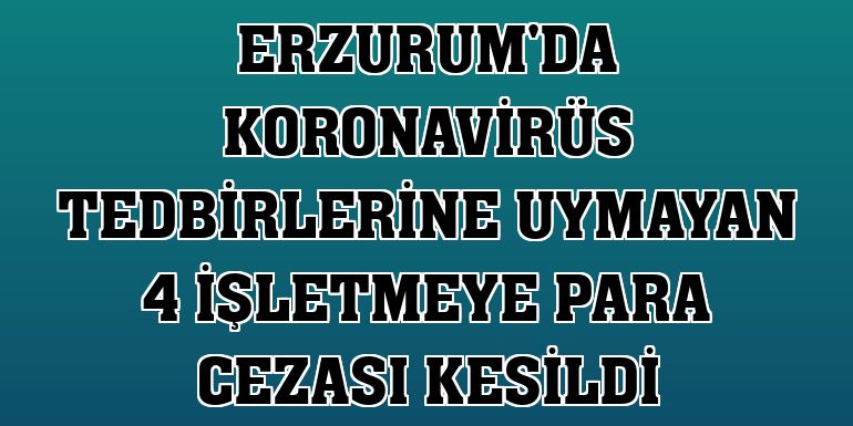 Erzurum'da koronavirüs tedbirlerine uymayan 4 işletmeye para cezası kesildi