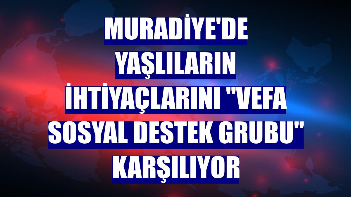 Muradiye'de yaşlıların ihtiyaçlarını "Vefa Sosyal Destek Grubu" karşılıyor