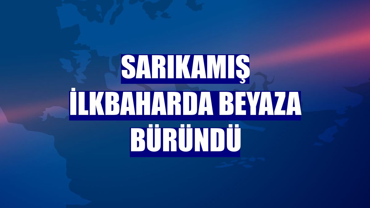 Sarıkamış ilkbaharda beyaza büründü