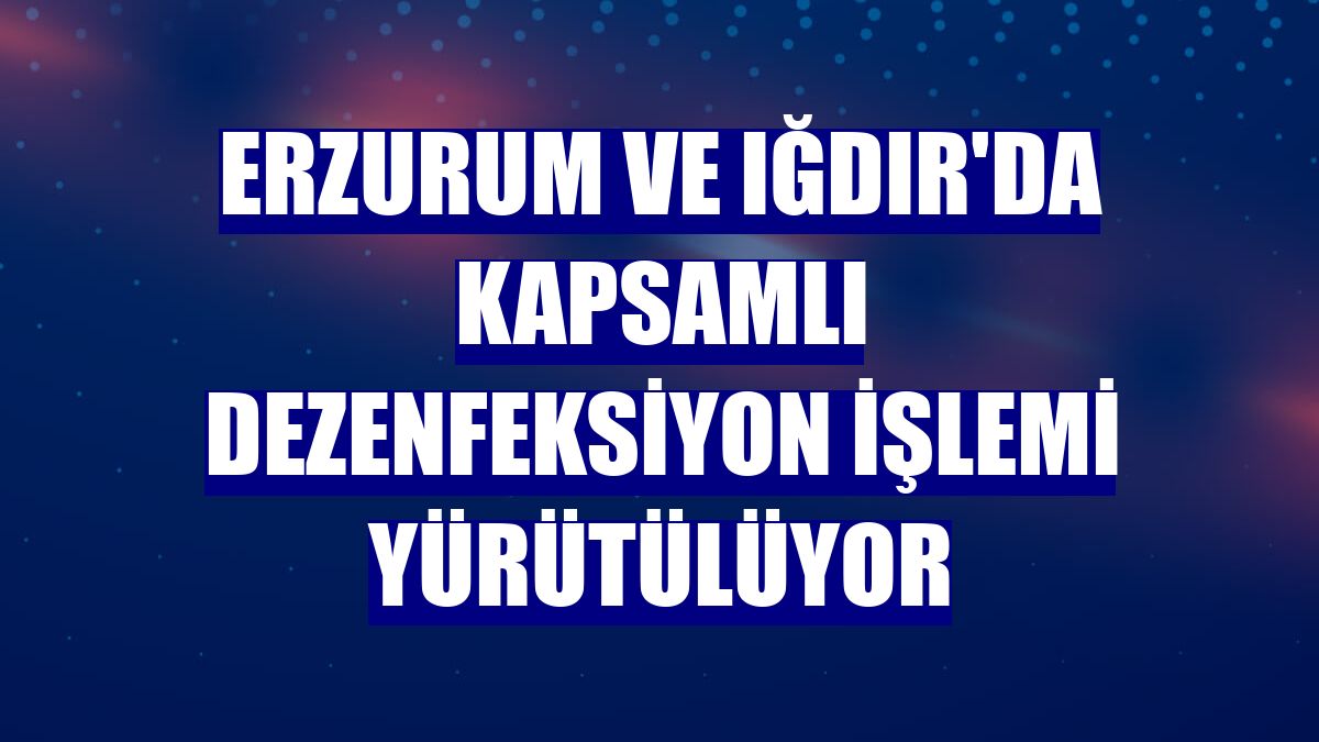 Erzurum ve Iğdır'da kapsamlı dezenfeksiyon işlemi yürütülüyor