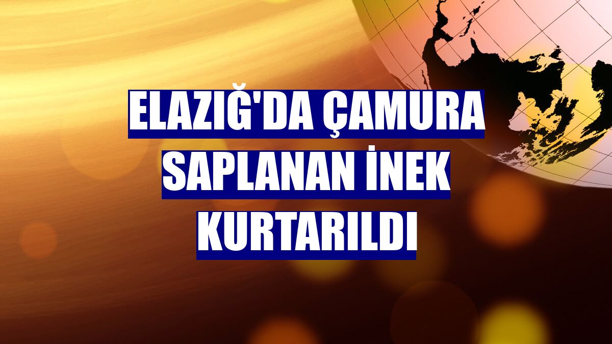 Elazığ'da çamura saplanan inek kurtarıldı