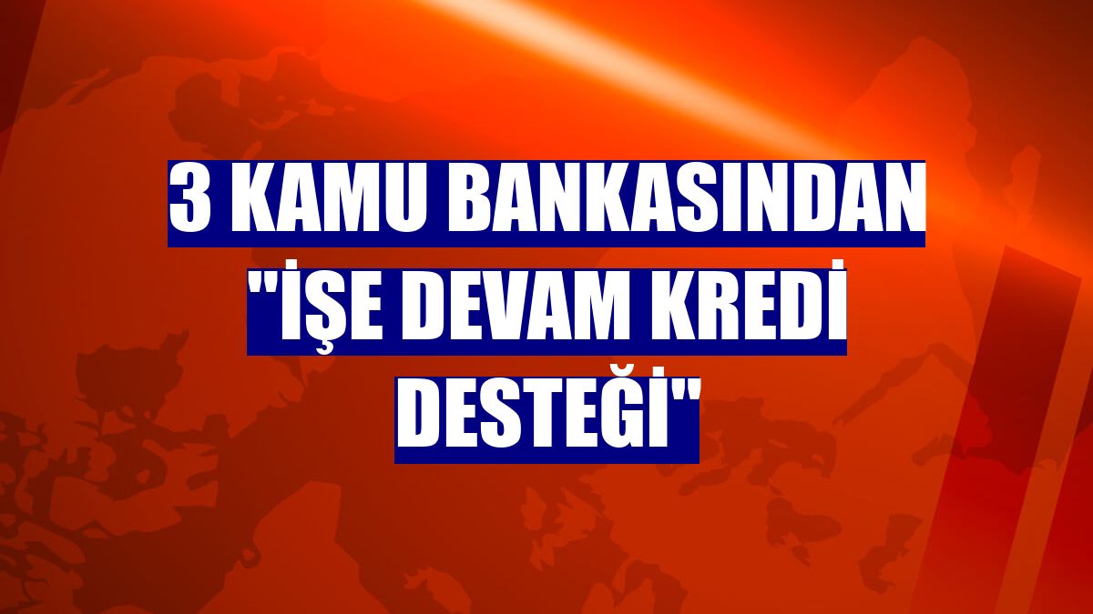 3 kamu bankasından "İşe Devam Kredi Desteği"