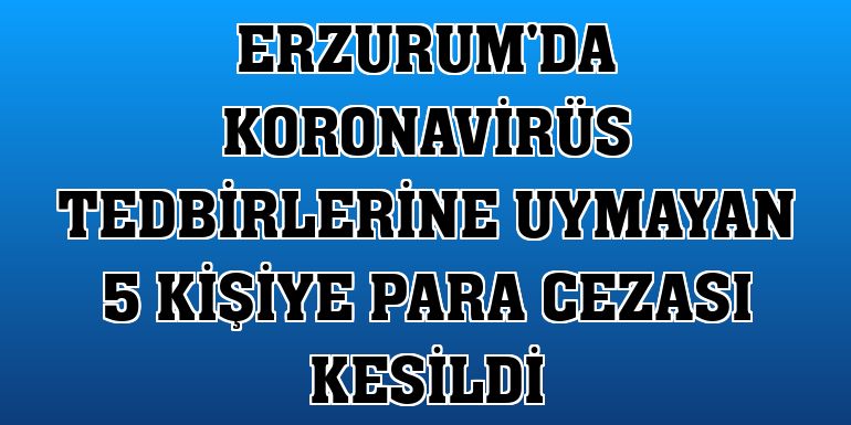 Erzurum'da koronavirüs tedbirlerine uymayan 5 kişiye para cezası kesildi