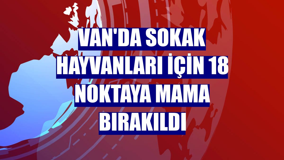 Van'da sokak hayvanları için 18 noktaya mama bırakıldı