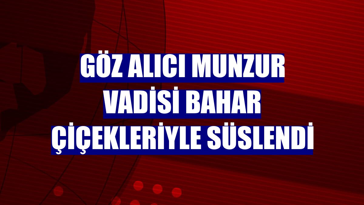 Göz alıcı Munzur Vadisi bahar çiçekleriyle süslendi