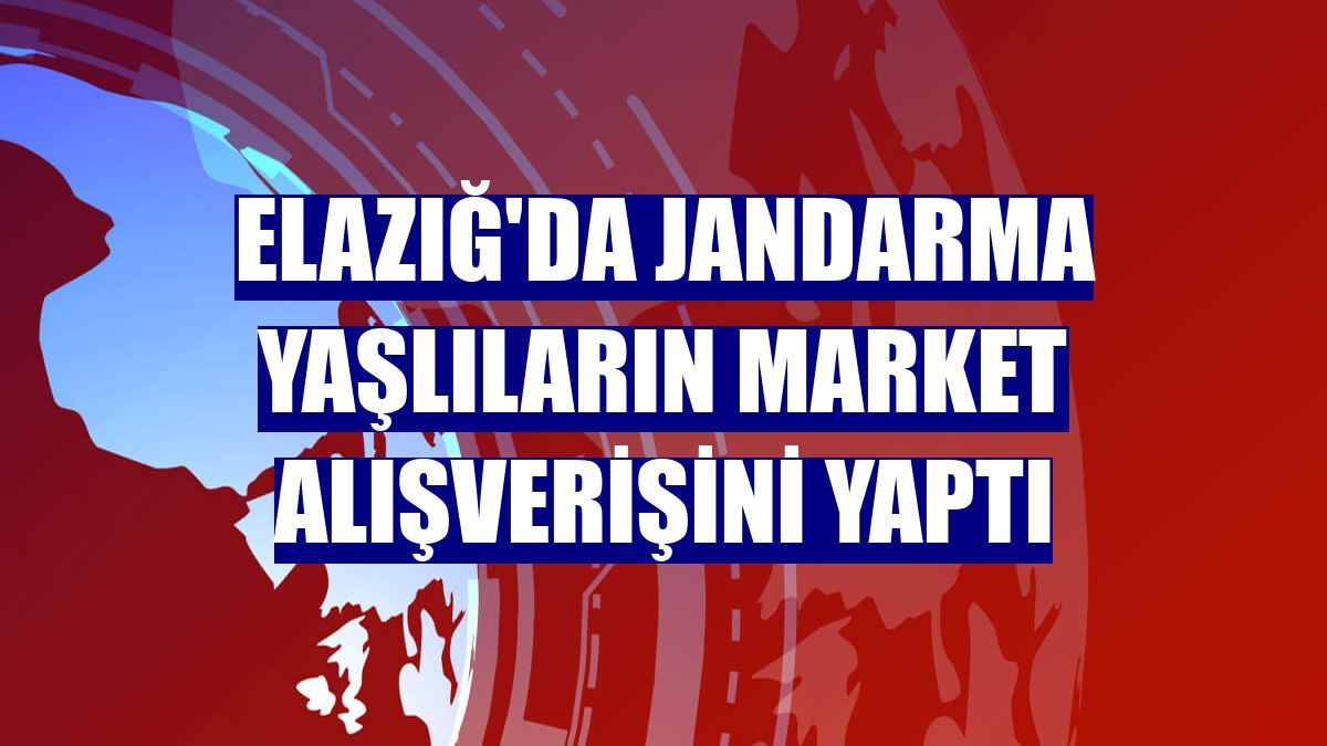 Elazığ'da jandarma yaşlıların market alışverişini yaptı