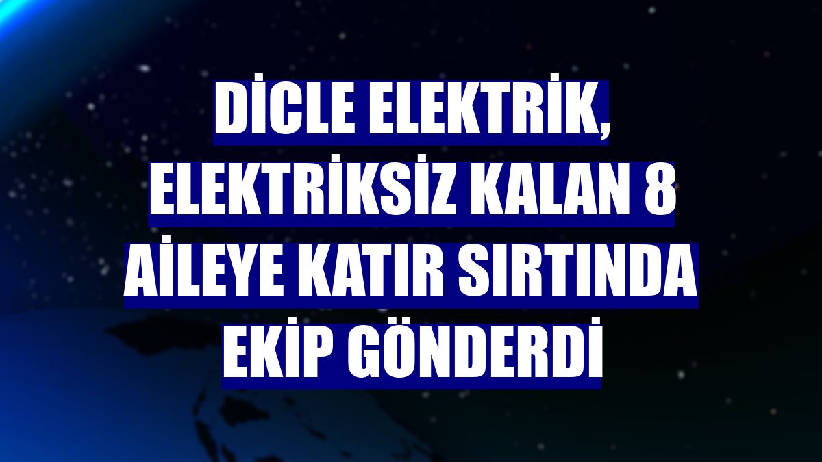 Dicle Elektrik, elektriksiz kalan 8 aileye katır sırtında ekip gönderdi