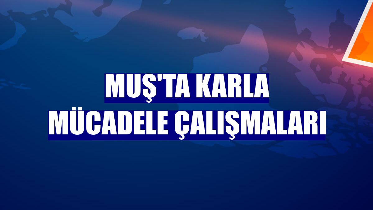 Muş'ta karla mücadele çalışmaları