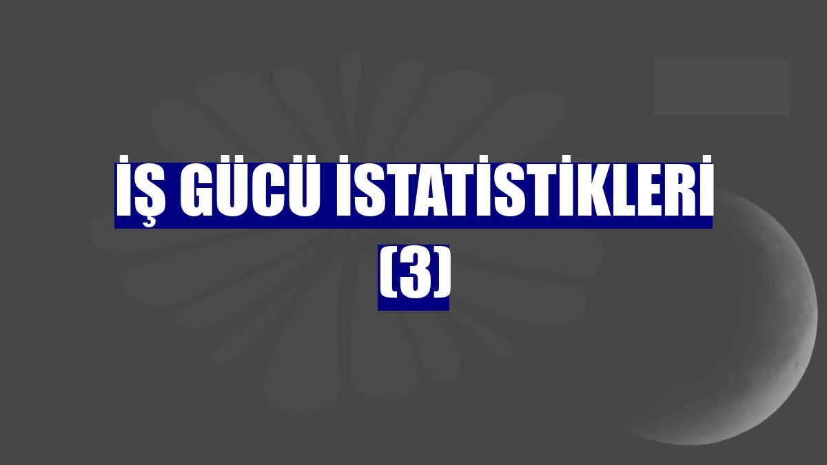 İş gücü istatistikleri (3)