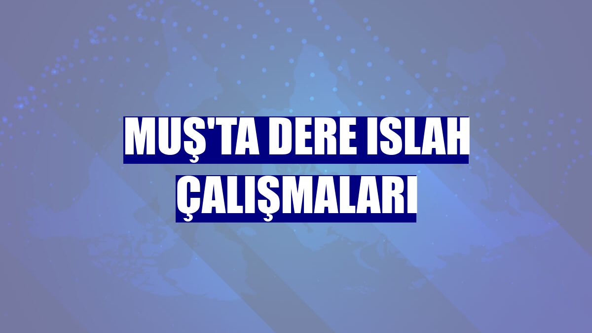 Muş'ta dere ıslah çalışmaları