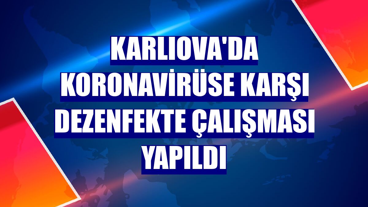 Karlıova'da koronavirüse karşı dezenfekte çalışması yapıldı