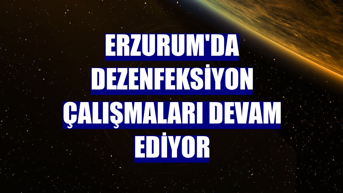 Erzurum'da dezenfeksiyon çalışmaları devam ediyor