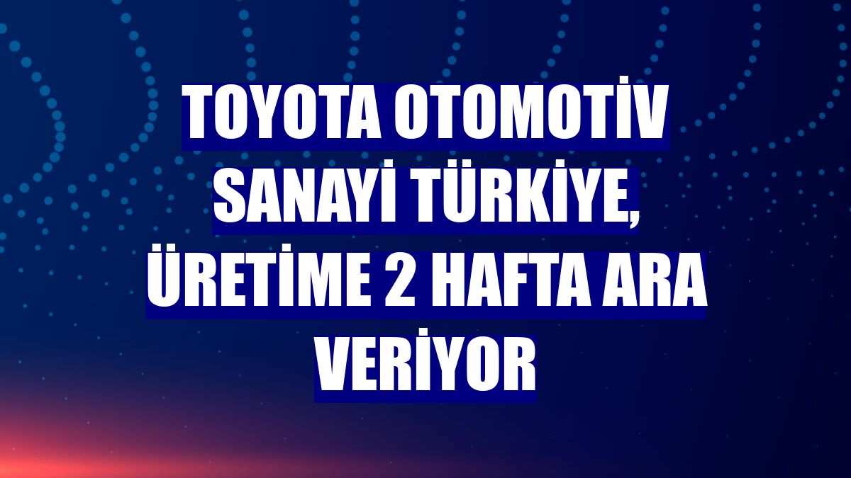 Toyota Otomotiv Sanayi Türkiye, üretime 2 hafta ara veriyor