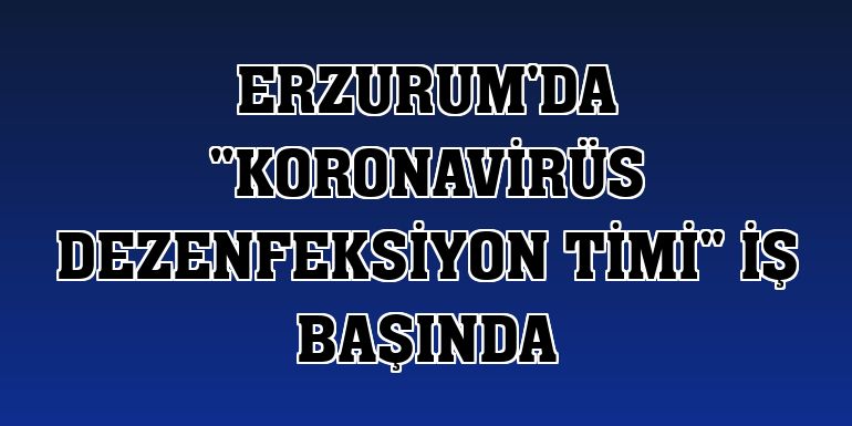 Erzurum'da 'koronavirüs dezenfeksiyon timi' iş başında