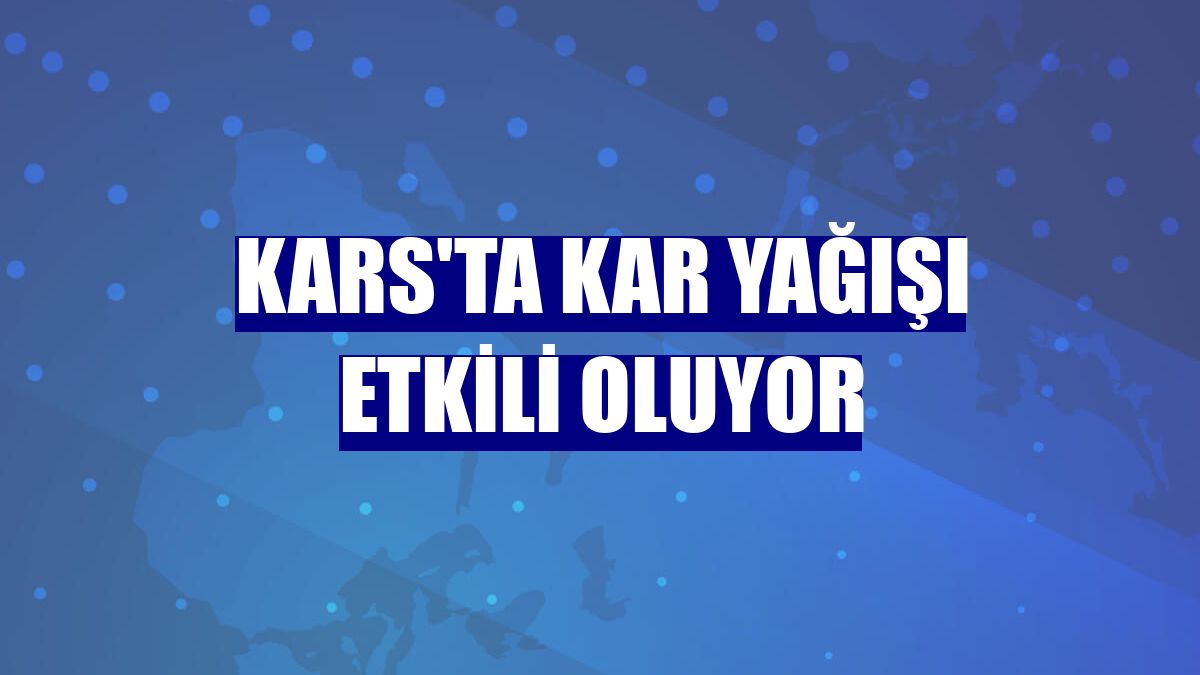 Kars'ta kar yağışı etkili oluyor