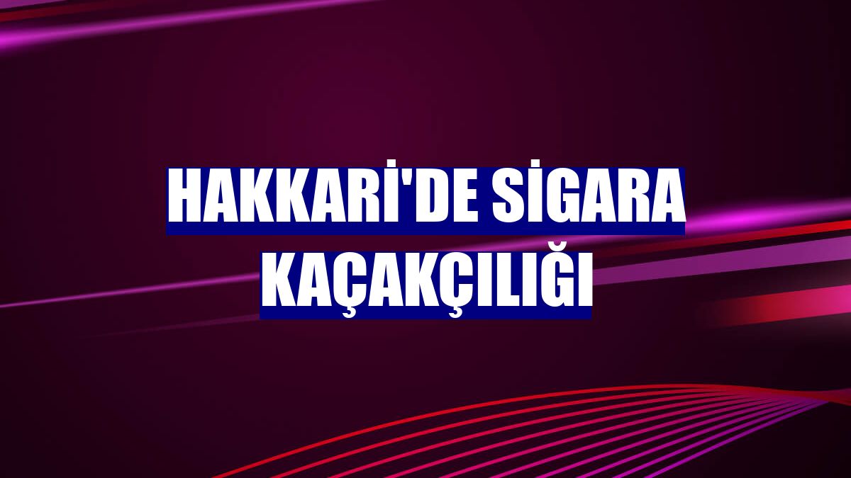 Hakkari'de sigara kaçakçılığı