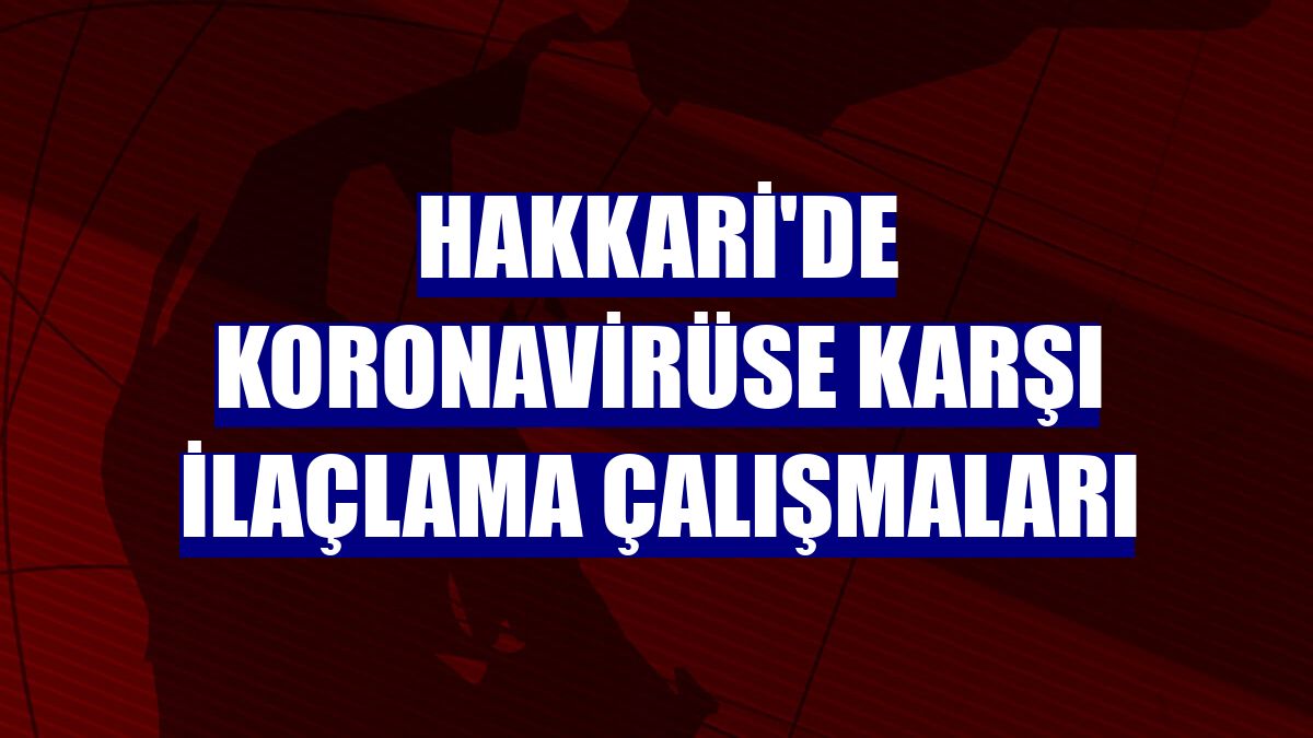 Hakkari'de koronavirüse karşı ilaçlama çalışmaları