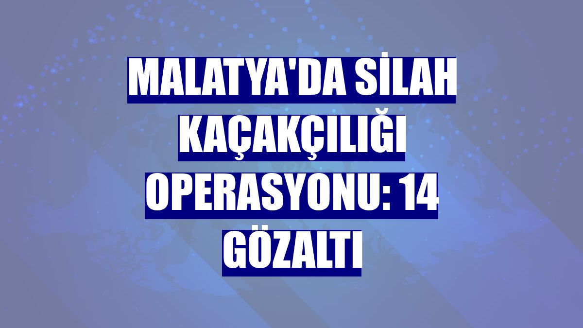 Malatya'da silah kaçakçılığı operasyonu: 14 gözaltı