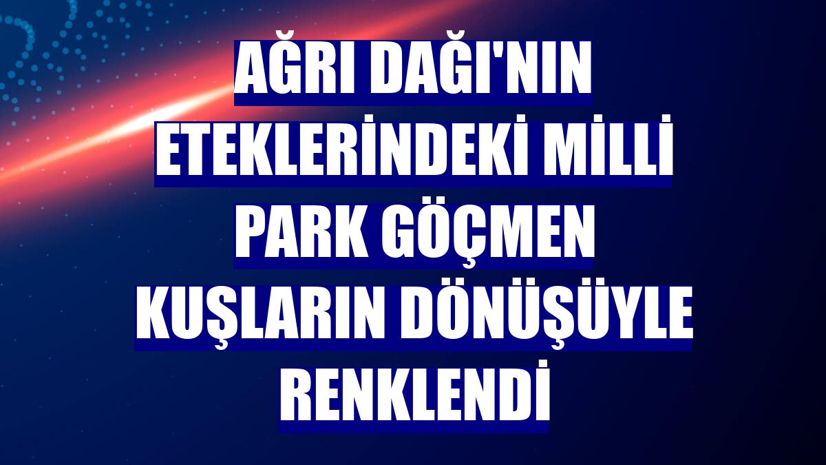 Ağrı Dağı'nın eteklerindeki milli park göçmen kuşların dönüşüyle renklendi